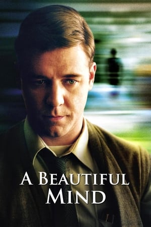 A Beautiful Mind 2001 Hindi Dual Audio [1.2GB]