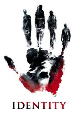 Identity (2003) Hindi Dual Audio [700MB]