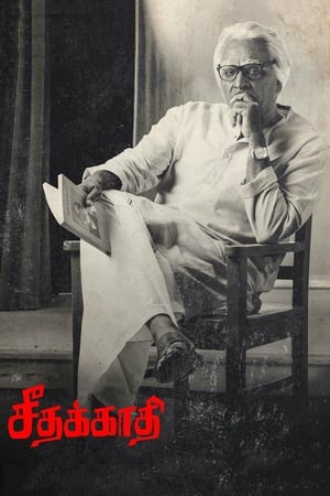 Seethakaathi (2018) Hindi Dubbed [1.1GB]
