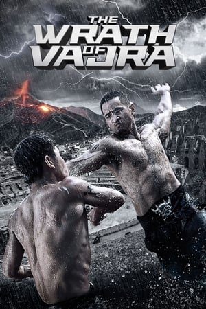 The Wrath of Vajra (2013) Hindi Dual Audio 350MB