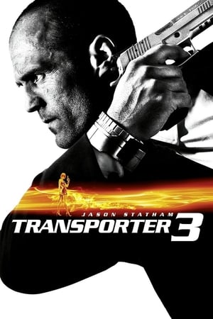 Transporter 3 (2008) Hindi Dual Audio 300MB