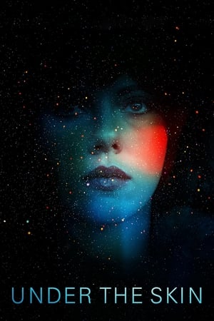 Under the Skin 2013 Hindi Dual Audio [850MB]