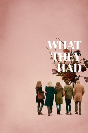 What They Had (2018) Hindi Dual Audio [900MB]